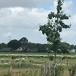 Bed & Breakfast In Ons Straatje