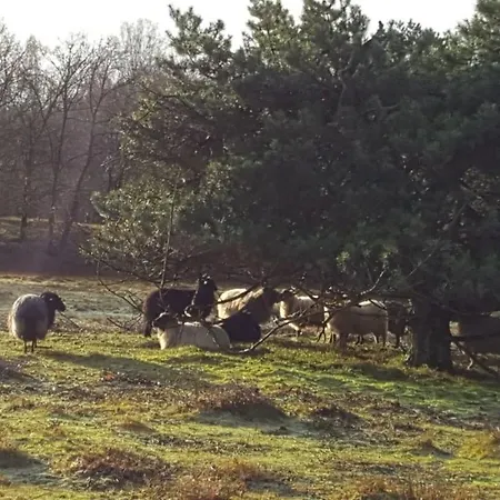 In Ons Straatje 4* Rosmalen