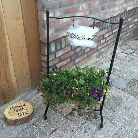 Bed & Breakfast In Ons Straatje