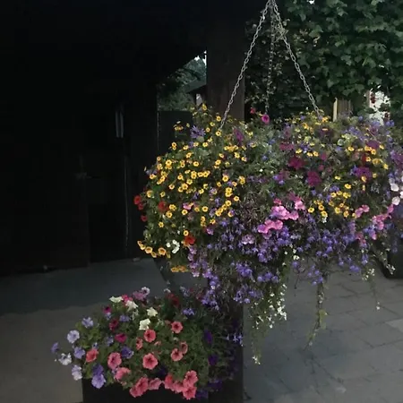 In Ons Straatje Bed & Breakfast Rosmalen