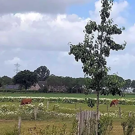 Frühstückspension In Ons Straatje Rosmalen