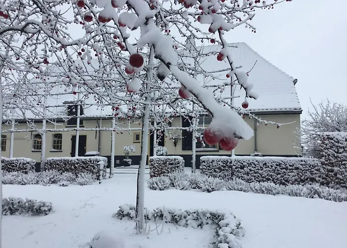 In Ons Straatje 住宿加早餐酒店