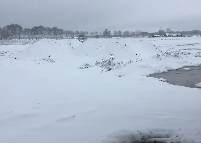 In Ons Straatje 住宿加早餐酒店 罗斯马伦