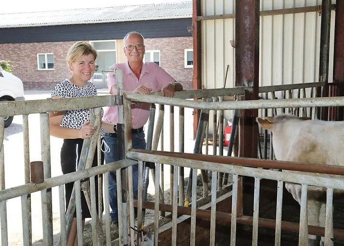 住宿加早餐酒店 In Ons Straatje 4*