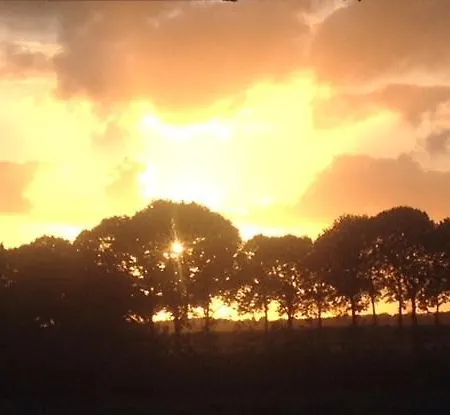 Bed & Breakfast In Ons Straatje 4*