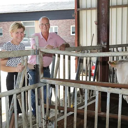 Bed & Breakfast In Ons Straatje 4*