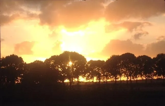 Frühstückspension In Ons Straatje 4*