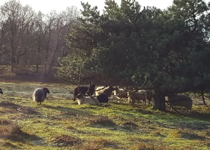 In Ons Straatje 4* Rosmalen