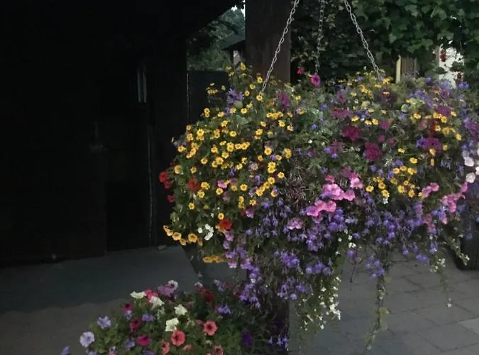 In Ons Straatje Frühstückspension Rosmalen