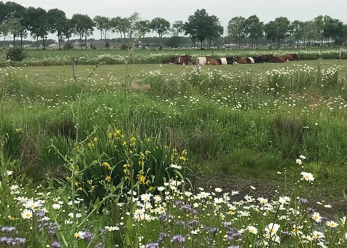 In Ons Straatje Rosmalen