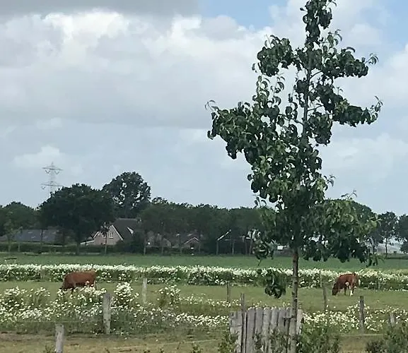 Frühstückspension In Ons Straatje